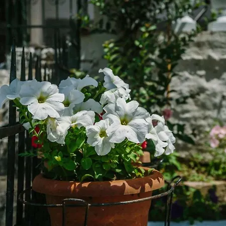 Apartment Athina